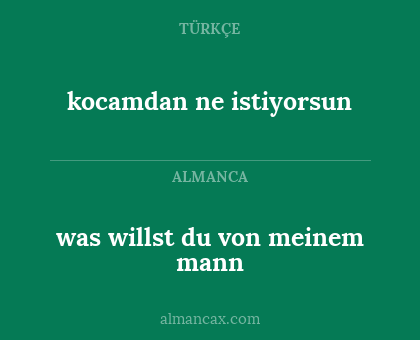 was willst du von meinem mann - kocamdan ne istiyorsun