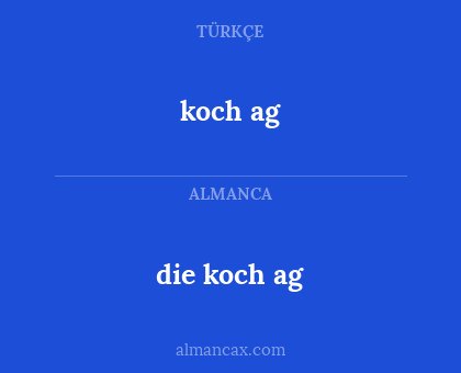 die koch ag - koch ag