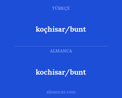 kochisar/bunt - koçhisar/bunt