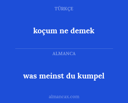 was meinst du kumpel - koçum ne demek