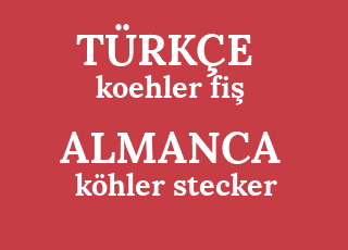 koehler+fi%C5%9F-k%C3%B6hler+stecker.png