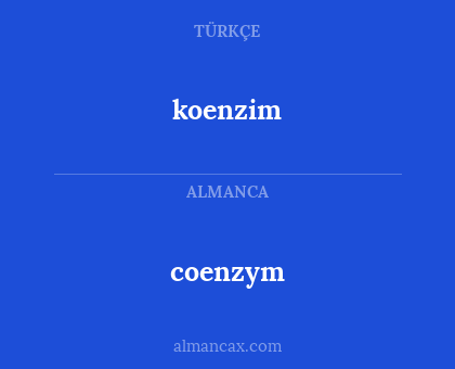 coenzym - koenzim