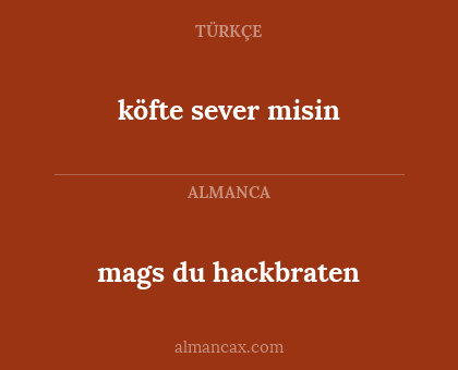 mags du hackbraten - köfte sever misin