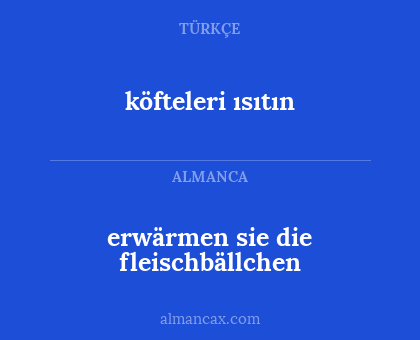 erwärmen sie die fleischbällchen - köfteleri ısıtın