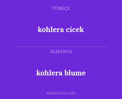 kohlera blume - kohlera
cicek