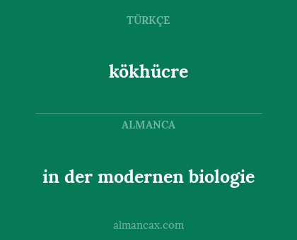 kökhücre - in der modernen biologie