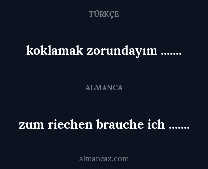 koklamak zorundayım ....... - zum riechen brauche ich .......