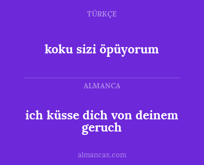 ich küsse dich von deinem geruch - koku sizi öpüyorum
