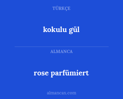 rose parfümiert - kokulu gül