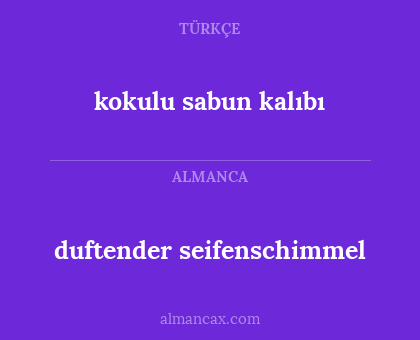 kokulu sabun kalıbı - duftender seifenschimmel