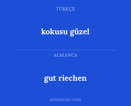kokusu güzel - gut riechen