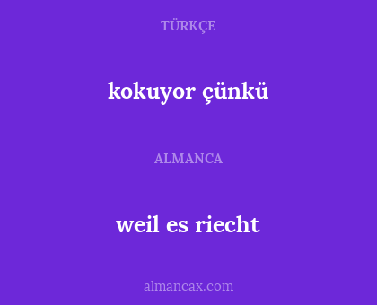 kokuyor çünkü - weil es riecht