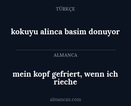 kokuyu alinca basim donuyor - mein kopf gefriert, wenn ich rieche