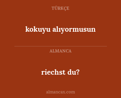 kokuyu alıyormusun - riechst du?