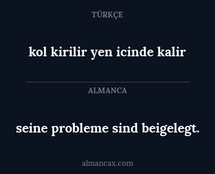 seine probleme sind beigelegt. - kol kirilir yen icinde kalir