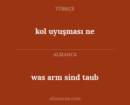 was arm sind taub - kol uyuşması ne