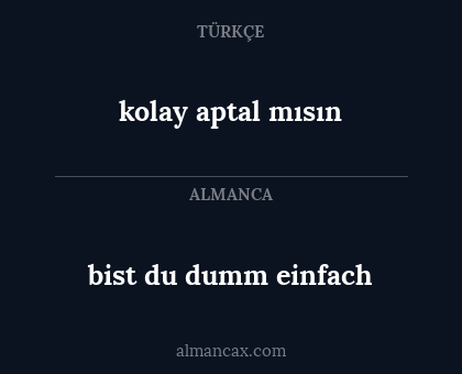bist du dumm einfach - kolay aptal mısın