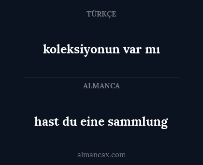koleksiyonun var mı - hast du eine sammlung
