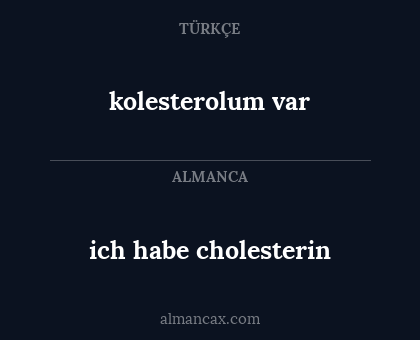 ich habe cholesterin - kolesterolum var
