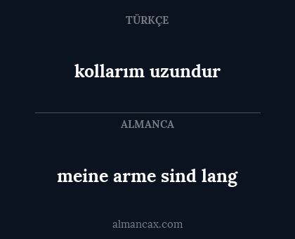 kollarım uzundur - meine arme sind lang
