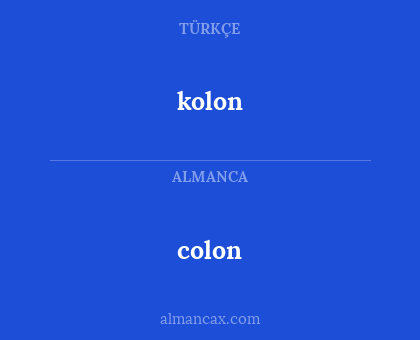 colon - kolon
