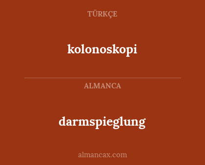 kolonoskopi - darmspieglung