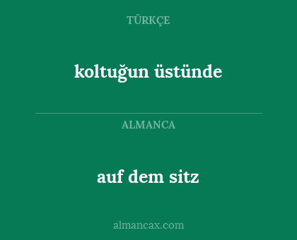auf dem sitz - koltuğun üstünde