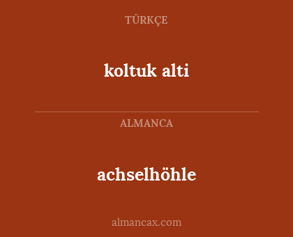 achselhöhle - koltuk alti