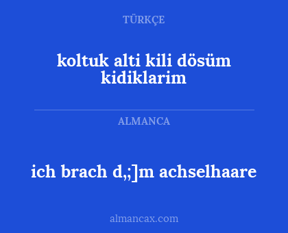 ich brach d,;]m achselhaare - koltuk alti kili dösüm kidiklarim