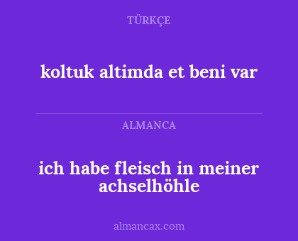 koltuk altimda et beni var - ich habe fleisch in meiner achselhöhle