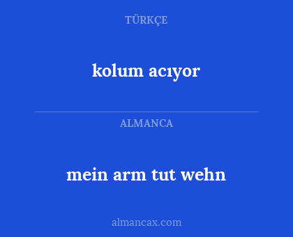 mein arm tut wehn - kolum acıyor