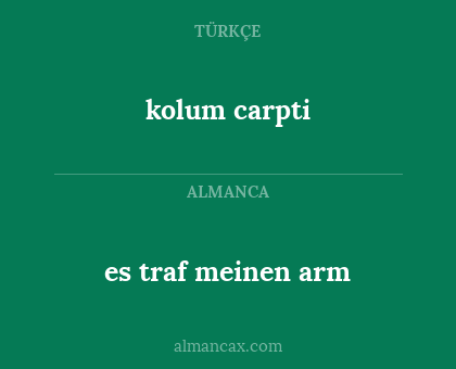 es traf meinen arm - kolum carpti