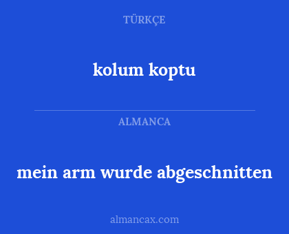 mein arm wurde abgeschnitten - kolum koptu