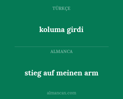 stieg auf meinen arm - koluma girdi