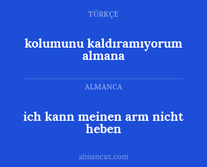kolumunu kaldıramıyorum almana - ich kann meinen arm nicht heben