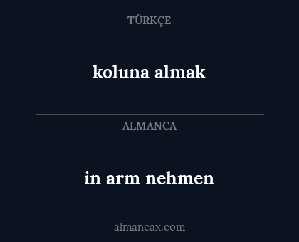 koluna almak - in arm nehmen