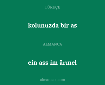 ein ass im ärmel - kolunuzda bir as