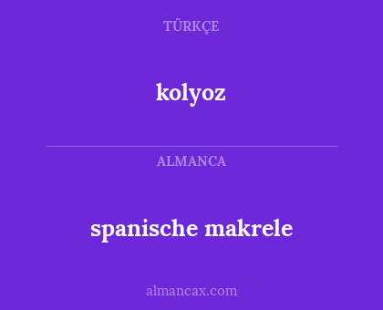 spanische makrele - kolyoz