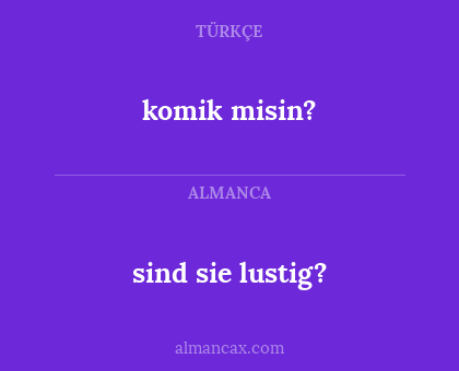 sind sie lustig? - komik misin?