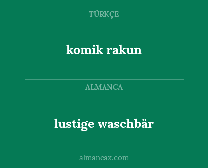 lustige waschbär - komik rakun