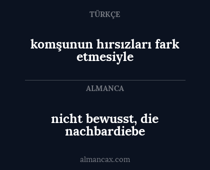 komşunun hırsızları fark etmesiyle - nicht bewusst, die nachbardiebe