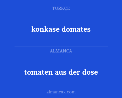 konkase domates - tomaten aus der dose