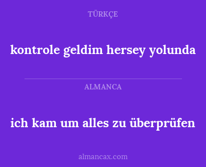 kontrole geldim hersey yolunda - ich kam um alles zu überprüfen
