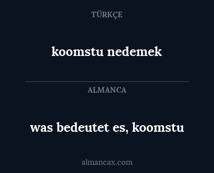 was bedeutet es, koomstu - koomstu nedemek