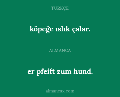 köpeğe ıslık çalar. - er pfeift zum hund.