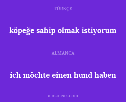 ich möchte einen hund haben - köpeğe sahip olmak istiyorum