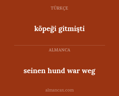 köpeği gitmişti - seinen hund war weg