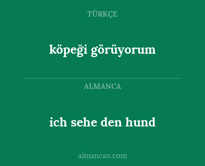 köpeği görüyorum - ich sehe den hund