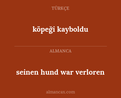 köpeği kayboldu - seinen hund war verloren