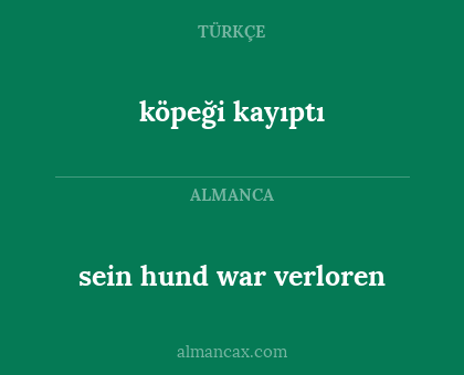 köpeği kayıptı - sein hund war verloren